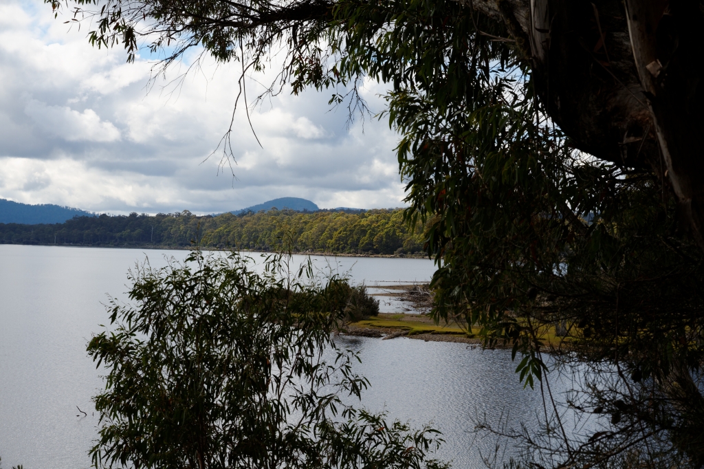 19 - Lake St Clair NP (1).jpg